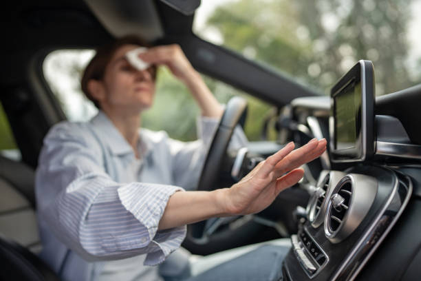 Best Affordable Air Conditioning Repair  in Nederland, CO